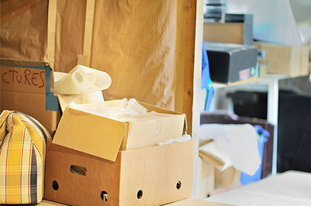 Best Professional Junk Removal  in Zephyrhills, FL