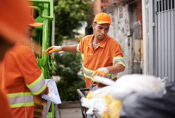 Debris Removal in Zephyrhills, FL